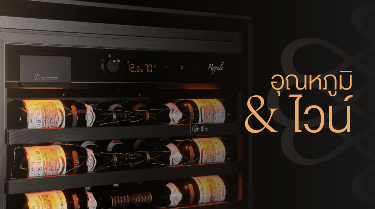 ตู้เก็บไวน์